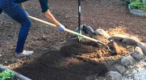 Person shoveling dirt