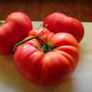 brandywine-tomato
