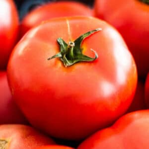 celebrity-tomato