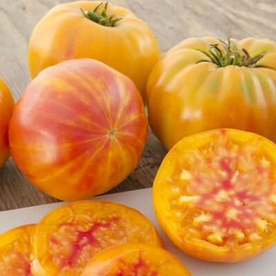 Big Rainbow Tomato