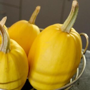 Spaghetti Squash