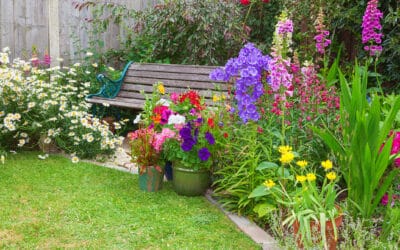 The Difference Between Annuals, Perennials and Biennials