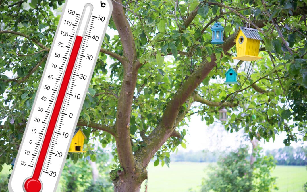 Tree with hot thermometer