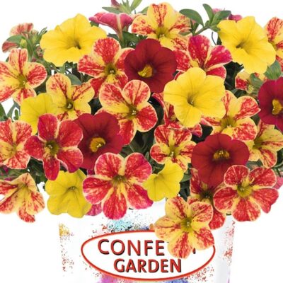 confetti-garden-aloha-nani-pixi-stix