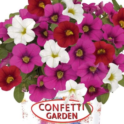 confetti-garden-hawaiian-nani-valentine