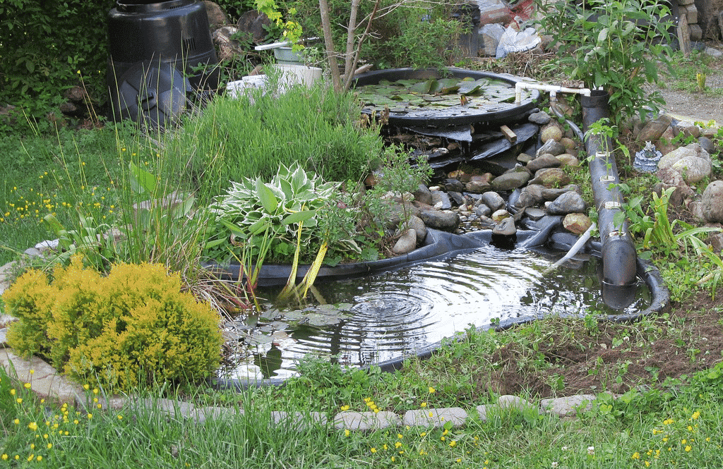 backyard-pond