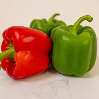 California Wonder | Sweet Bell Pepper | Beaver Bark Gift & Garden Center