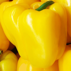 golden-summer-pepper