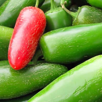 jalapeno-peppers
