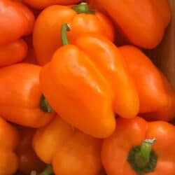 orange-blaze-pepper