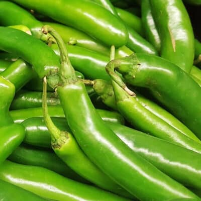 serrano-pepper