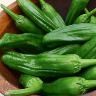 shishito-pepper