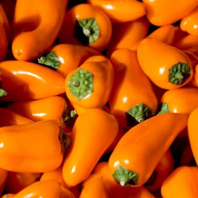yummy-orange-pepper