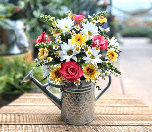 watering-can-class-website-image